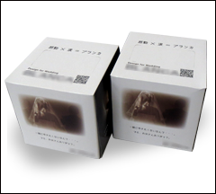 制作実績その11